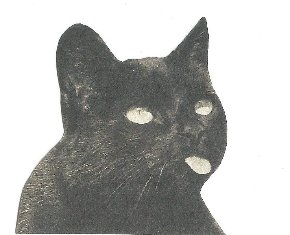 Roar Black Cat