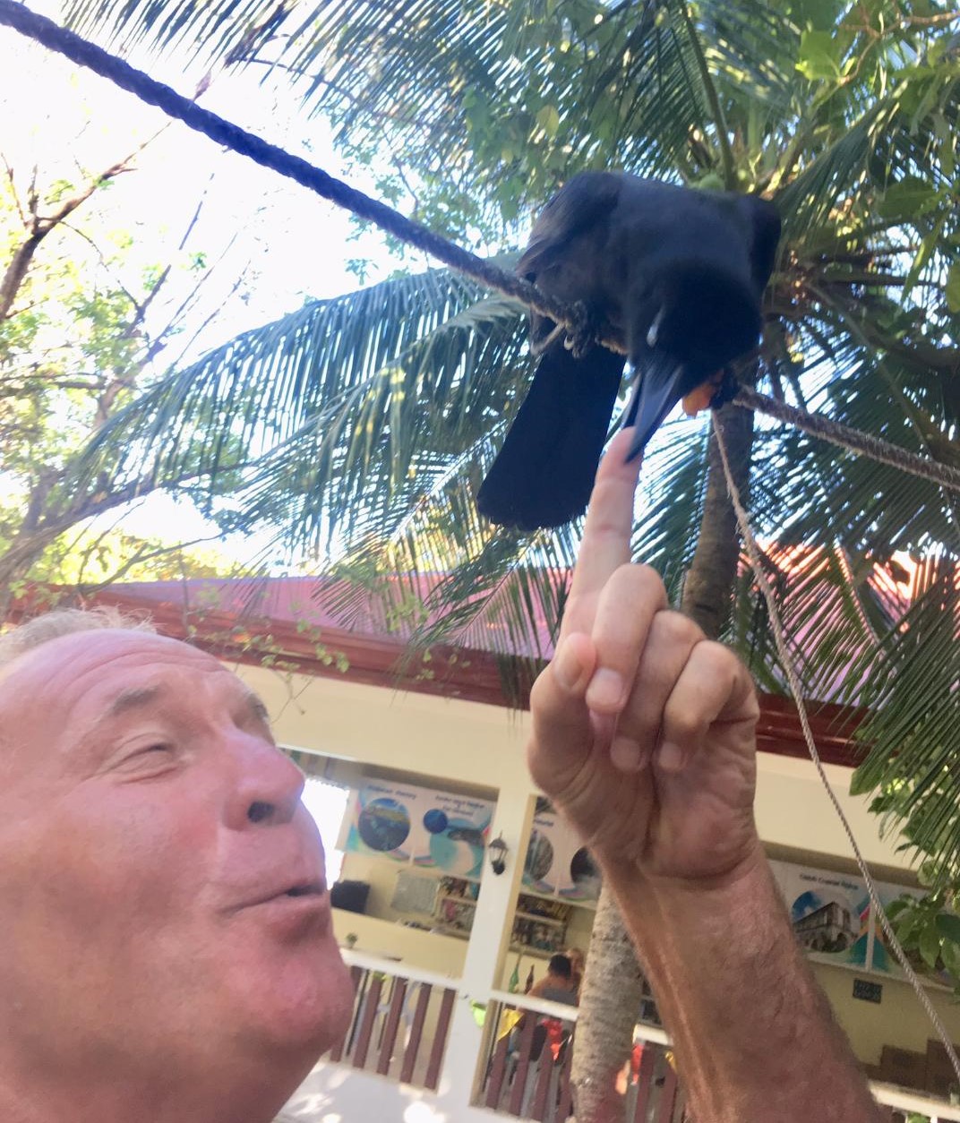 Wildlife interaction can be painful