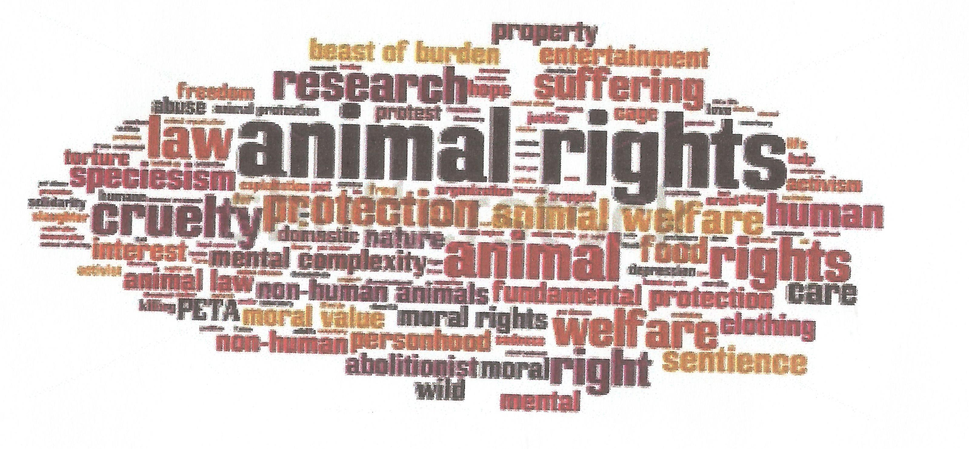 animal rights pic