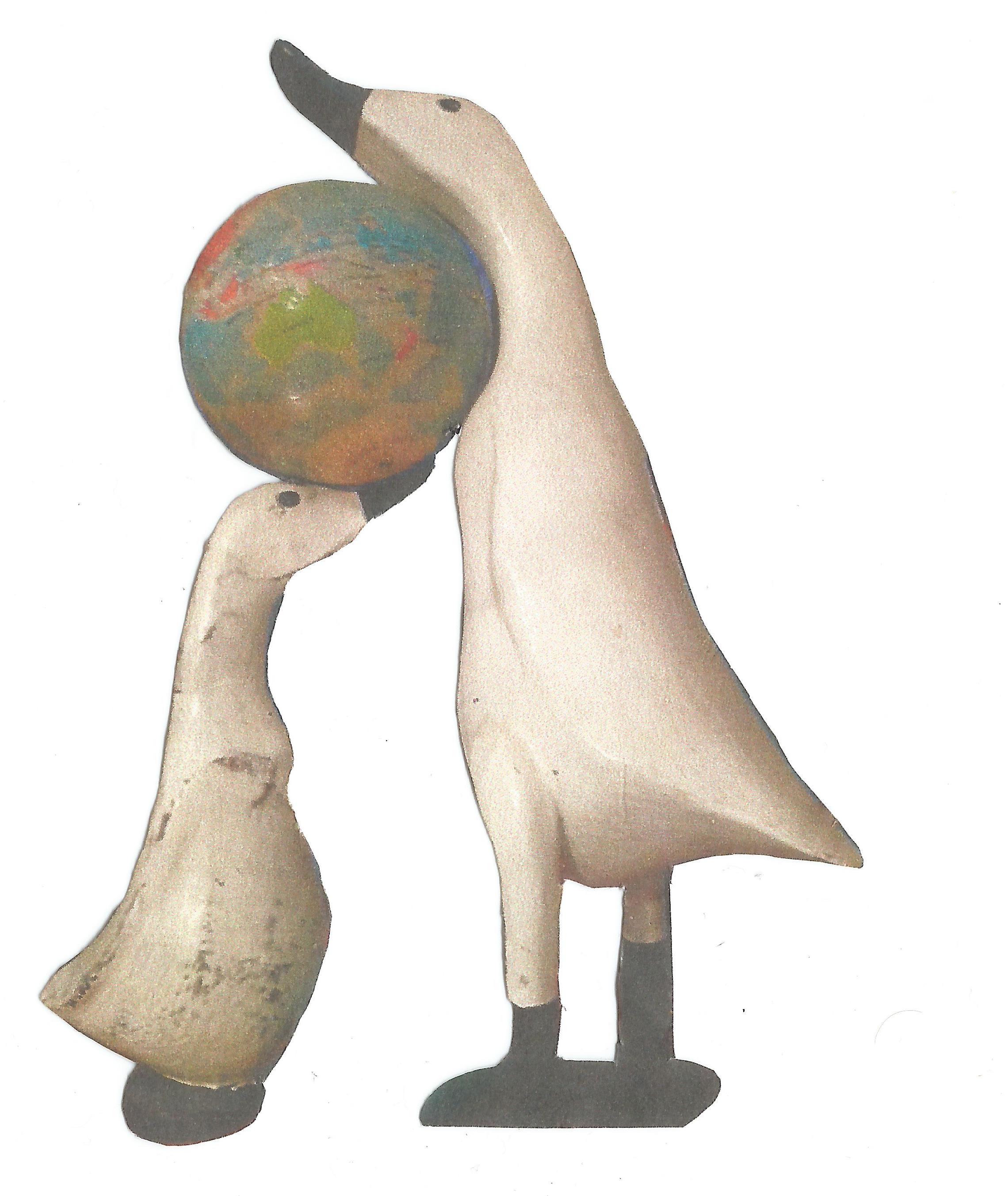 ducksw4wcol