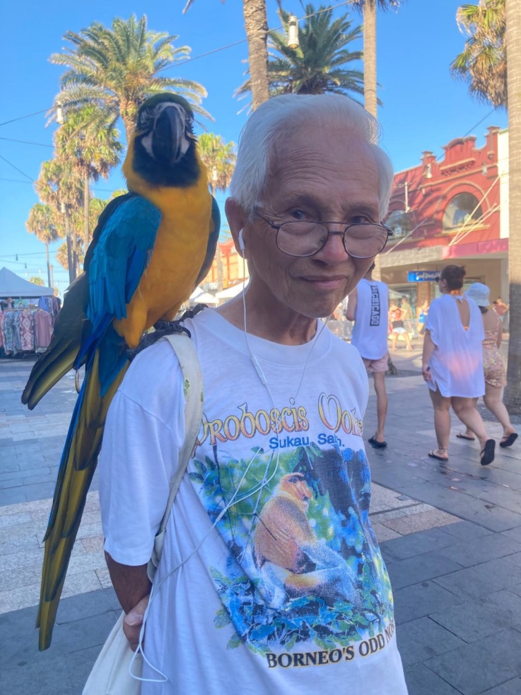 macaw big bird