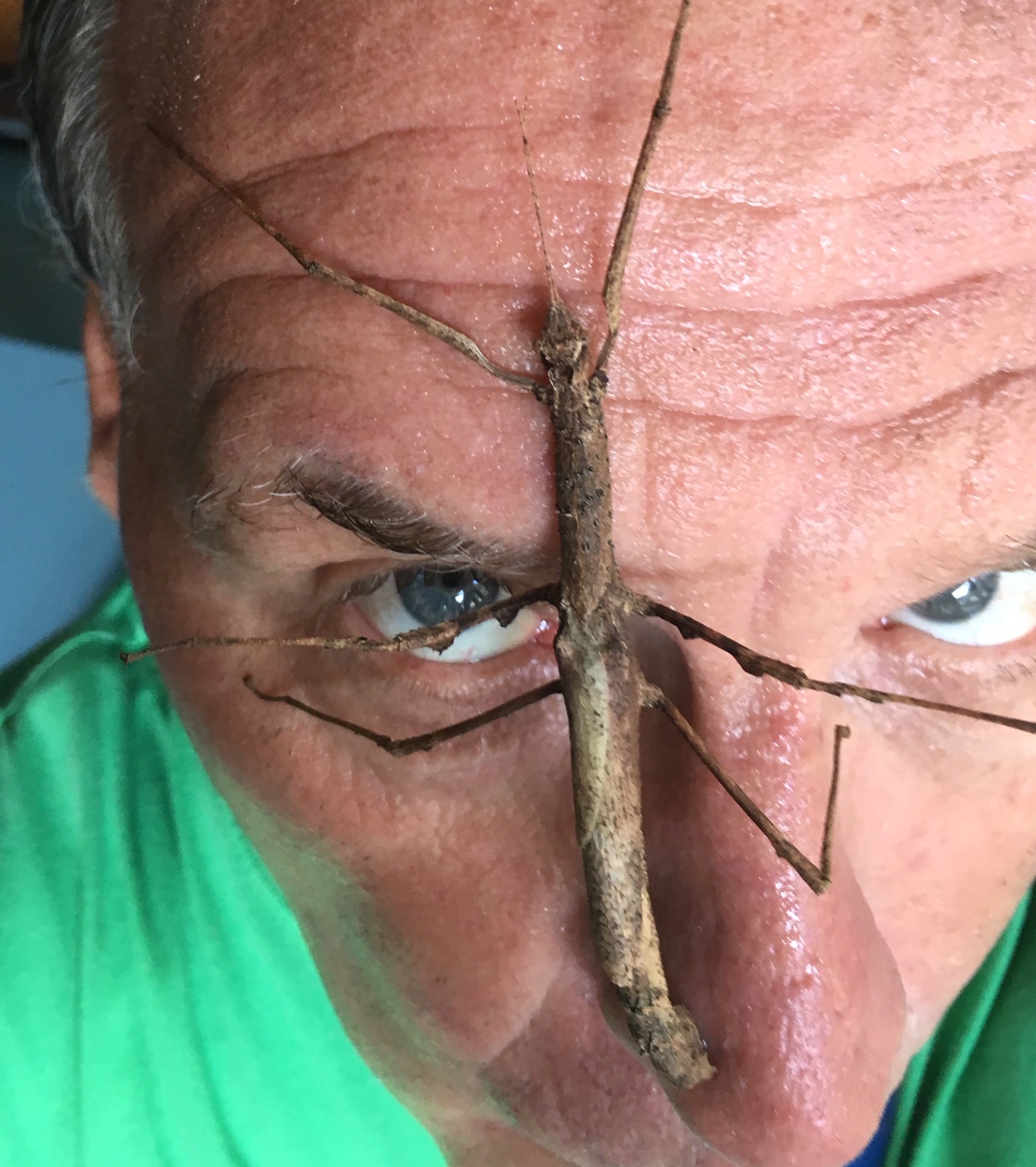 w4w insect pic 2